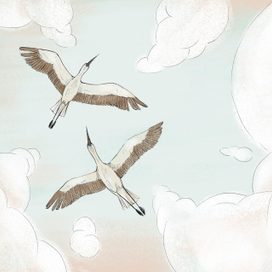 Иллюстрация к сборнику стихотворений "Все начинается с полета"