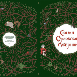 Суперобложка к книге