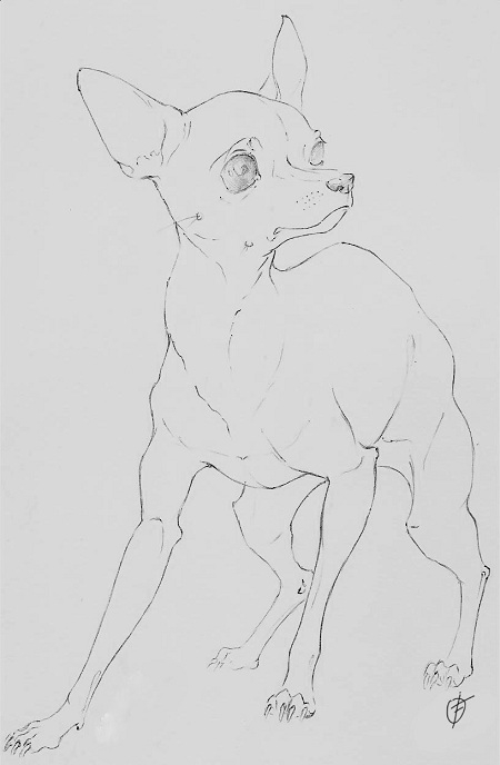 Русский той