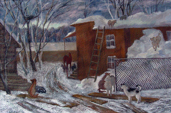 Жизнь в приюте