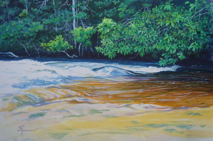 Игарапэ дуз Веадус