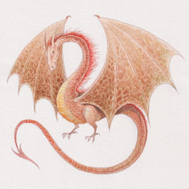 Дракон