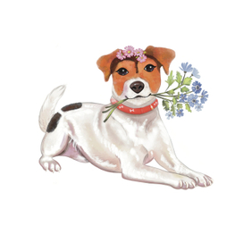 Джек Рассел Терьер