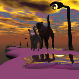 утренние коты