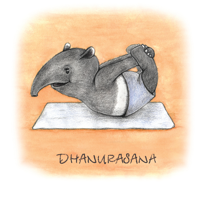 Тапир. Дханурасана - поза лука