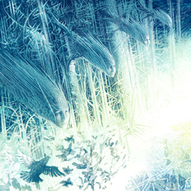 Титул к Снежной Королеве