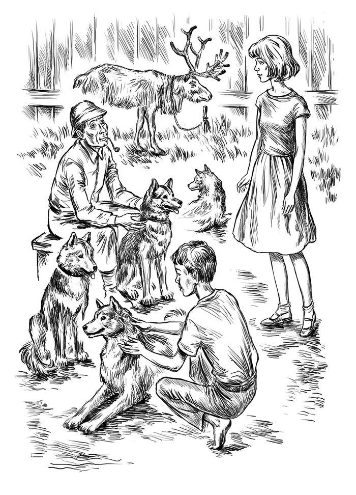 Дикая собака Динго