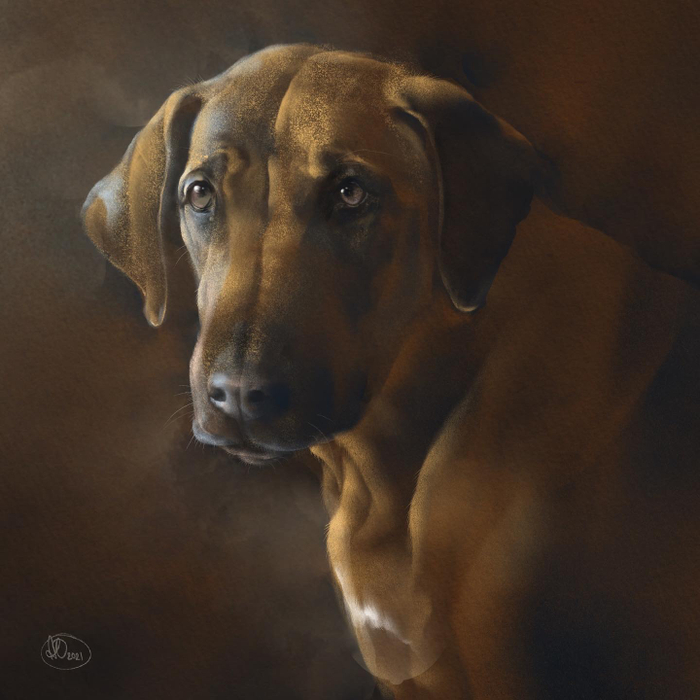 Риджбек Маня