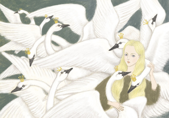 Дикие лебеди 