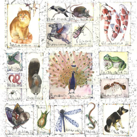 атлас животных