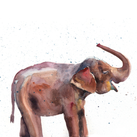 Купание слона