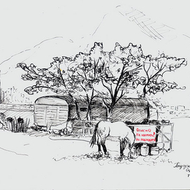 Генуэзская крепость, лошадки