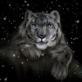 Снежный барс