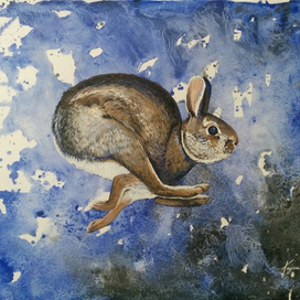 Ночная фурия