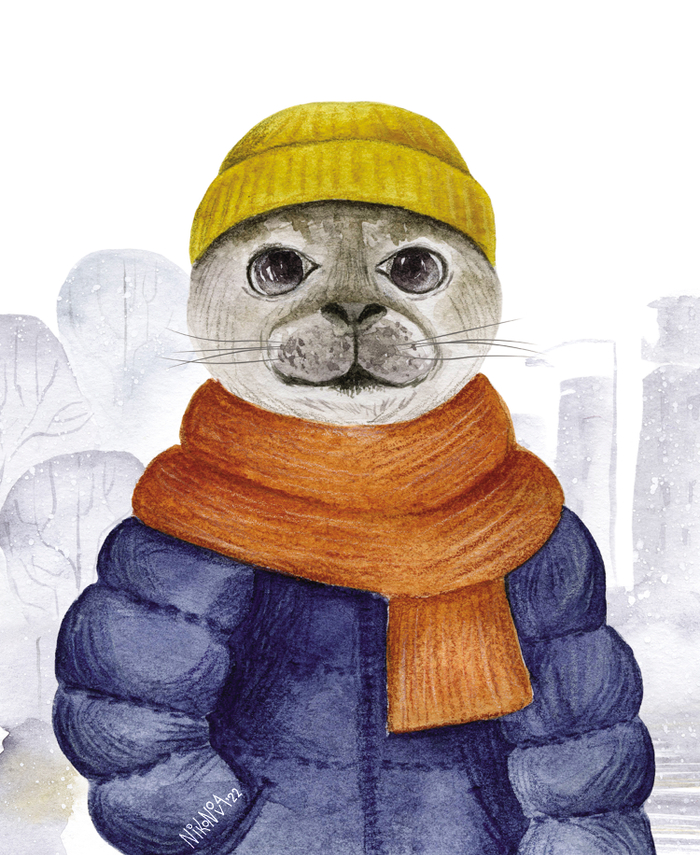 Нерпа. На краю земли.