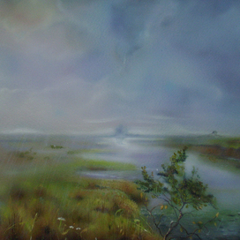 Ендогуров в аэрорафии