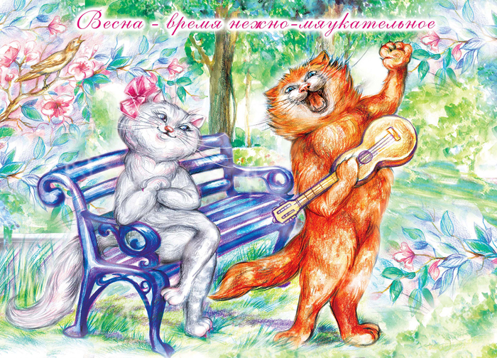 весенние коты