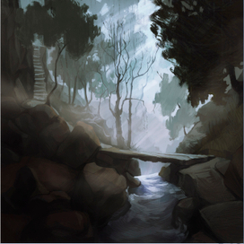 туманный лес