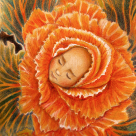 Капустинка