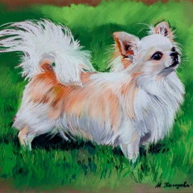 Портрет любимца