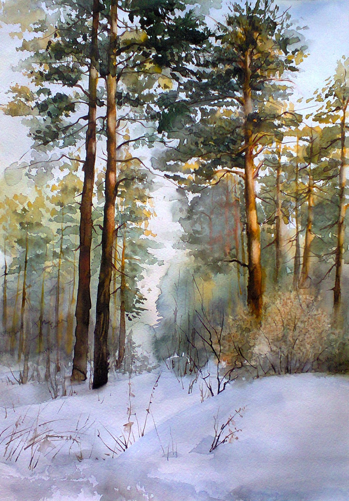 Солнечный лес в феврале 2