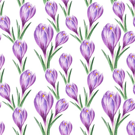Паттерн с крокусами