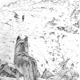 Наблюдатель