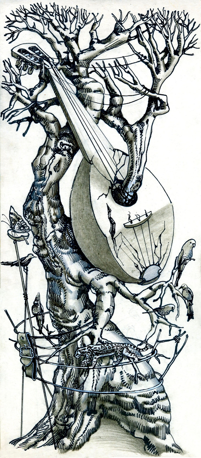 Без названия 6