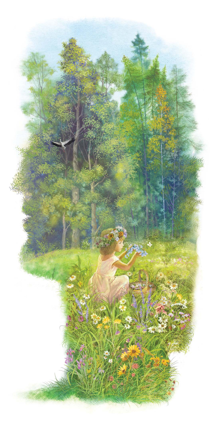 ЗЁЛКИ (травы)