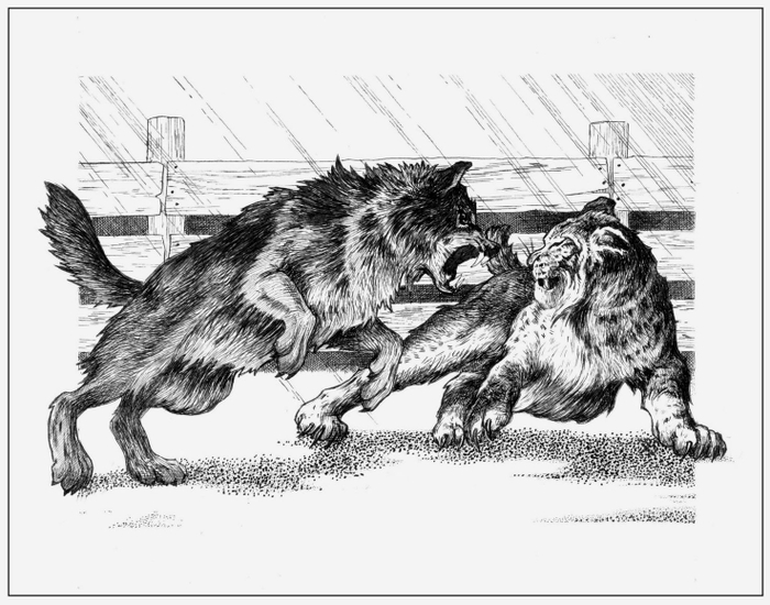 Царство ненависти. Бой с рысью