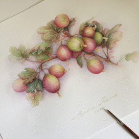 крыжовник...