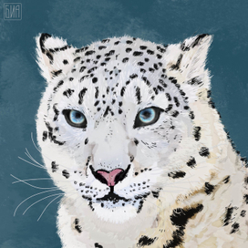 Снежный барс