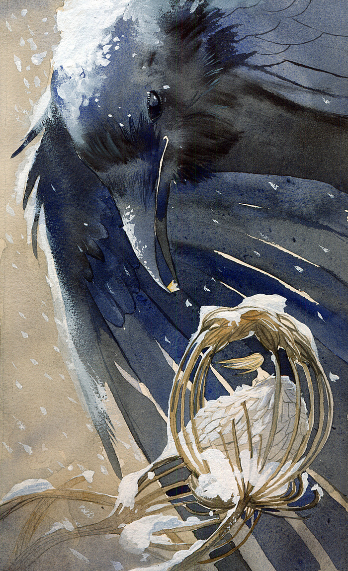 Принцесса ворона