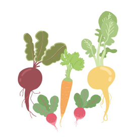 Иллюстрация овощей