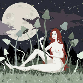 Волшебное поле