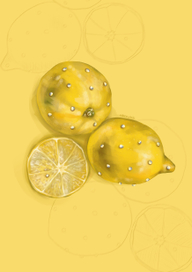 Лимоны 