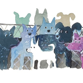 Самый маленький в приюте