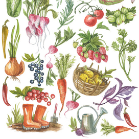 овощи(деколь)