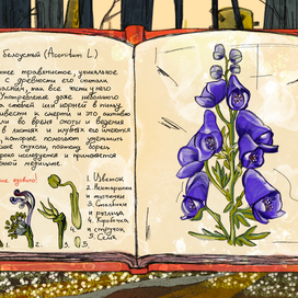 Иллюстрации Травника.