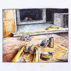 Голодным волком смотрят голуби