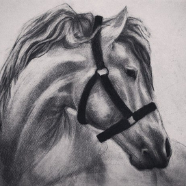 Мечты о свободе 