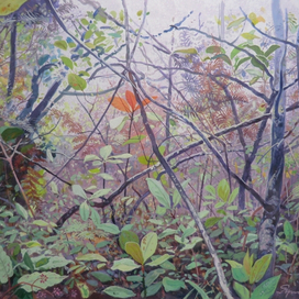 Из цикла "Туманные леса Рораймы" (1)