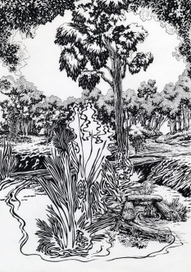 без названия