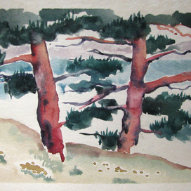 Мангупские сосны