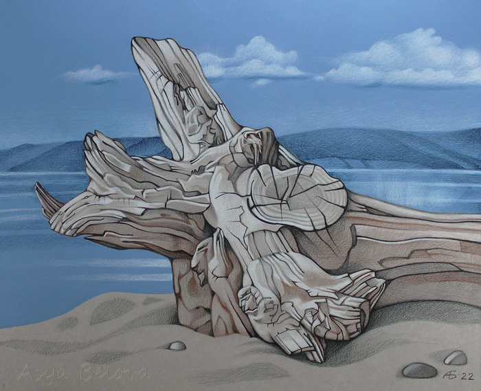 Байкальская коряжка