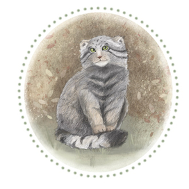 Pallas's cat