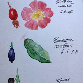 Работы акварелью