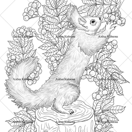 Раскраска "Белка и рябина"