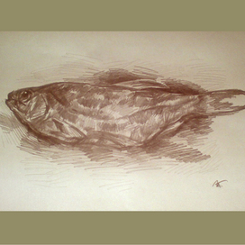 Одинокая таранька на столе