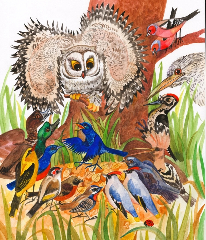 Сказка про сову.